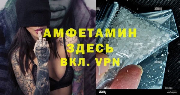 гидра Аркадак